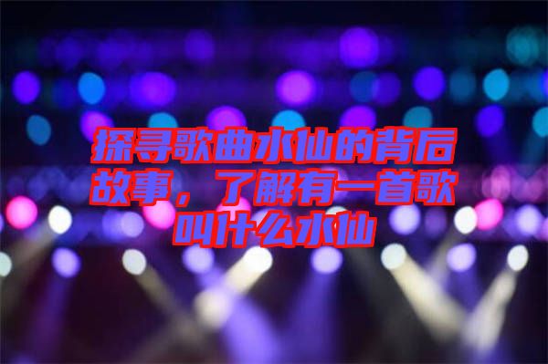 探尋歌曲水仙的背后故事，了解有一首歌叫什么水仙