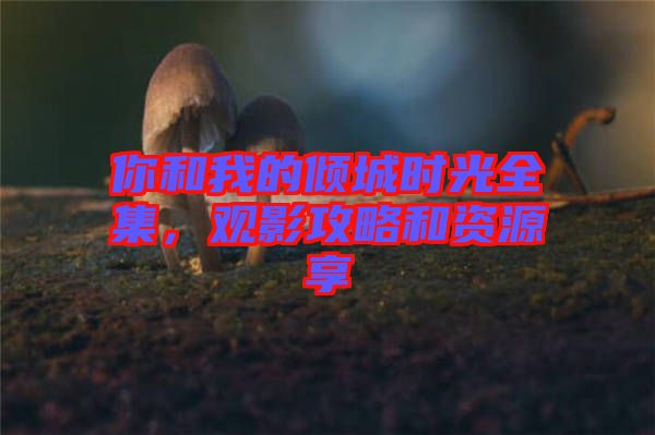 你和我的傾城時光全集，觀影攻略和資源享