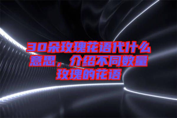 30朵玫瑰花語代什么意思，介紹不同數量玫瑰的花語