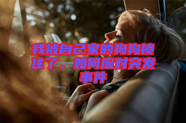 我被自己家的狗狗鎖住了，如何應(yīng)對(duì)突發(fā)事件