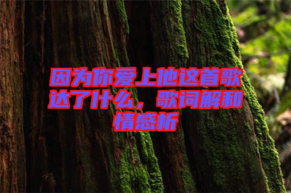 因為你愛上他這首歌達了什么，歌詞解和情感析