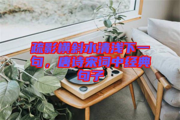 疏影橫斜水清淺下一句，唐詩宋詞中經典句子