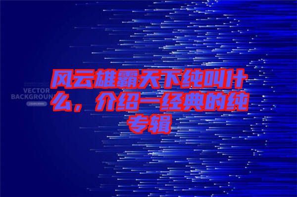 風云雄霸天下純叫什么，介紹一經典的純專輯