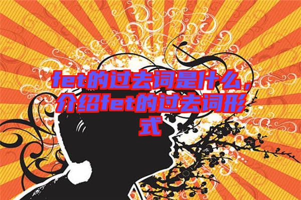 fet的過去詞是什么，介紹fet的過去詞形式