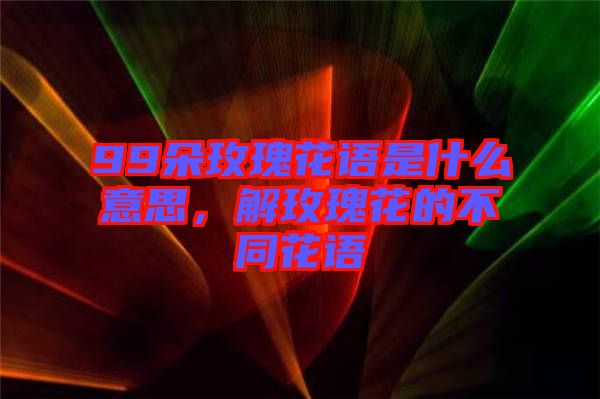 99朵玫瑰花語是什么意思，解玫瑰花的不同花語