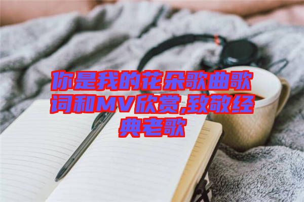 你是我的花朵歌曲歌詞和MV欣賞,致敬經典老歌