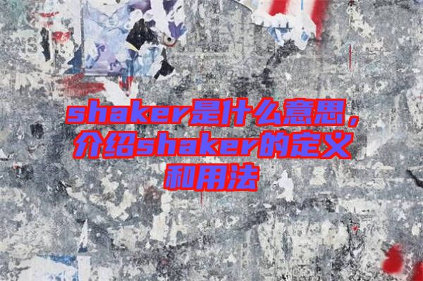 shaker是什么意思，介紹shaker的定義和用法