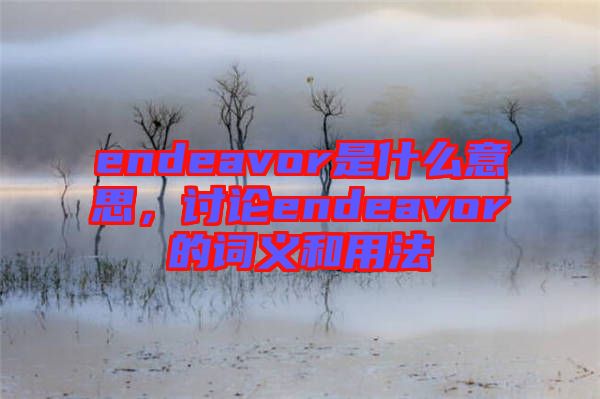 endeavor是什么意思，討論endeavor的詞義和用法