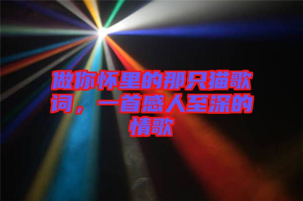 做你懷里的那只貓歌詞，一首感人至深的情歌