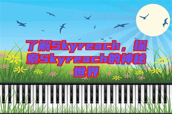 了解Skyreach，探索Skyreach的神秘世界