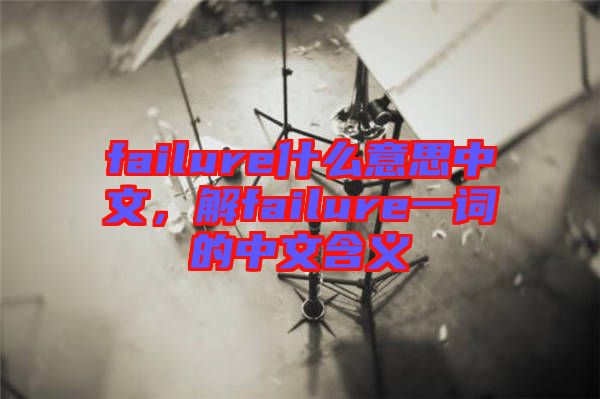 failure什么意思中文，解failure一詞的中文含義