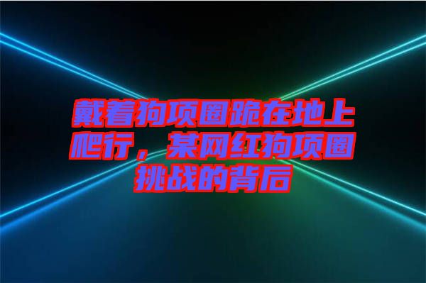 戴著狗項圈跪在地上爬行，某網紅狗項圈挑戰的背后