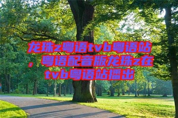 龍珠z粵語(yǔ)tvb粵語(yǔ)站，粵語(yǔ)配音版龍珠z在tvb粵語(yǔ)站播出