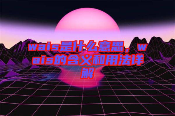 wais是什么意思，wais的含義和用法詳解