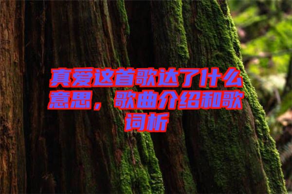 真愛這首歌達了什么意思，歌曲介紹和歌詞析