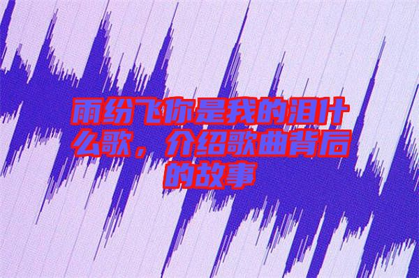 雨紛飛你是我的淚什么歌，介紹歌曲背后的故事