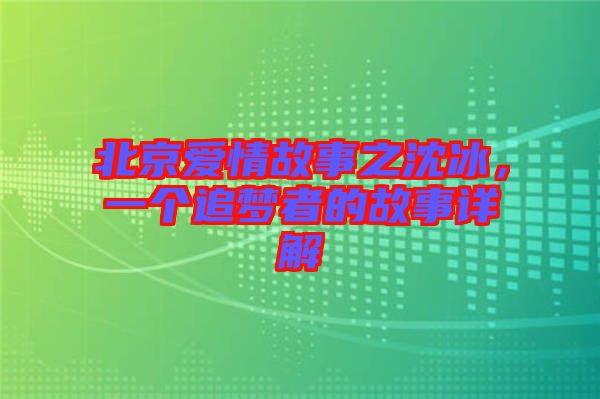 北京愛(ài)情故事之沈冰，一個(gè)追夢(mèng)者的故事詳解