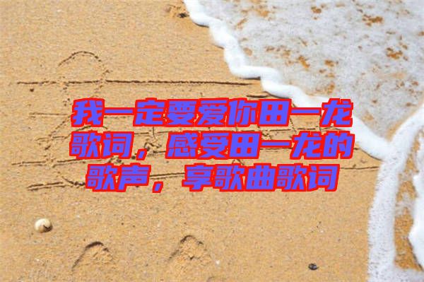 我一定要愛你田一龍歌詞，感受田一龍的歌聲，享歌曲歌詞