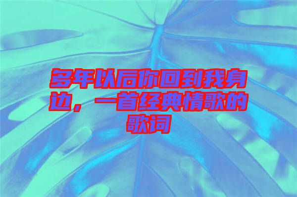 多年以后你回到我身邊，一首經典情歌的歌詞