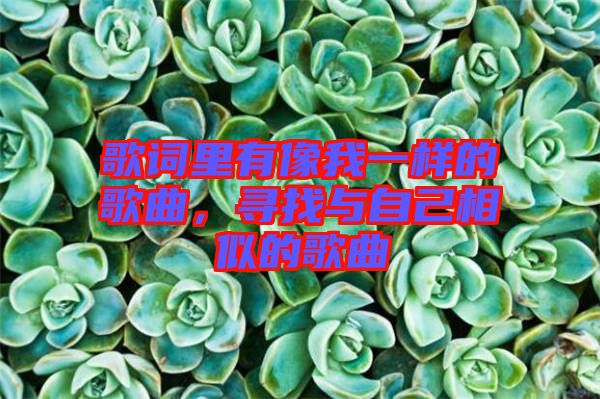 歌詞里有像我一樣的歌曲，尋找與自己相似的歌曲