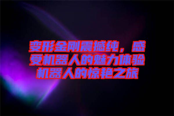 變形金剛震撼純，感受機(jī)器人的魅力體驗(yàn)機(jī)器人的驚艷之旅