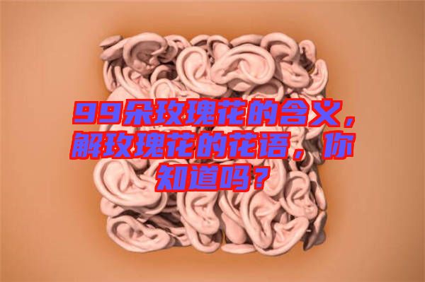 99朵玫瑰花的含義，解玫瑰花的花語(yǔ)，你知道嗎？