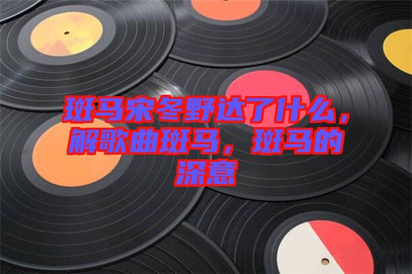 斑馬宋冬野達了什么，解歌曲斑馬，斑馬的深意