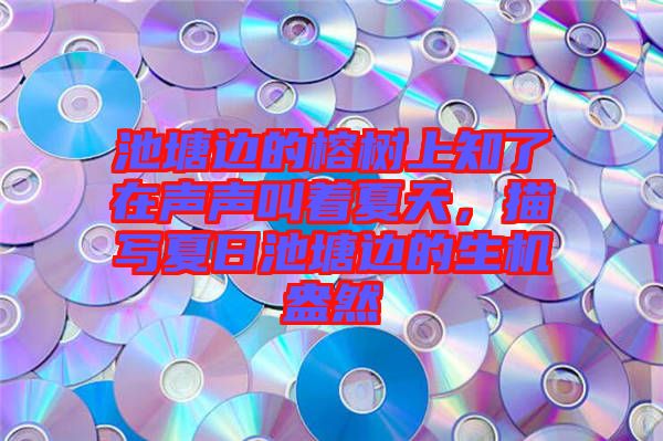 池塘邊的榕樹上知了在聲聲叫著夏天，描寫夏日池塘邊的生機盎然