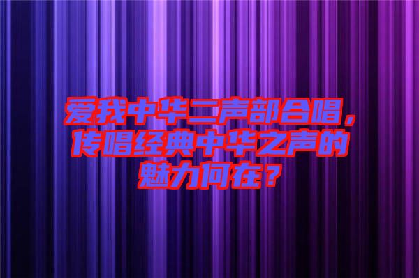 愛(ài)我中華二聲部合唱，傳唱經(jīng)典中華之聲的魅力何在？