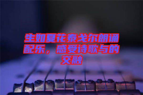 生如夏花泰戈?duì)柪收b配樂，感受詩(shī)歌與的交融