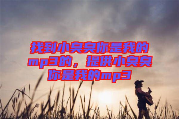 找到小臭臭你是我的mp3的，提供小臭臭你是我的mp3