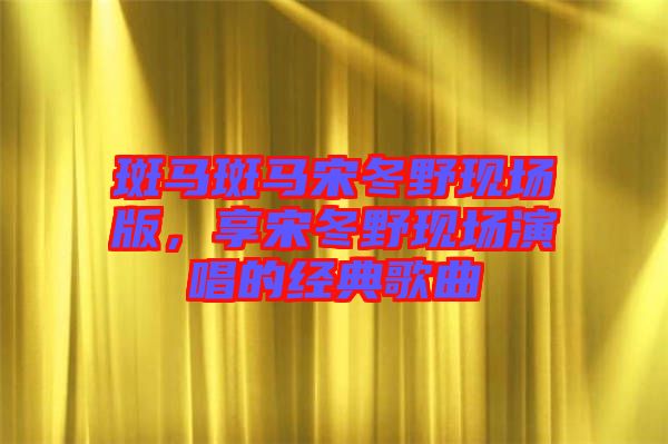 斑馬斑馬宋冬野現(xiàn)場版，享宋冬野現(xiàn)場演唱的經(jīng)典歌曲