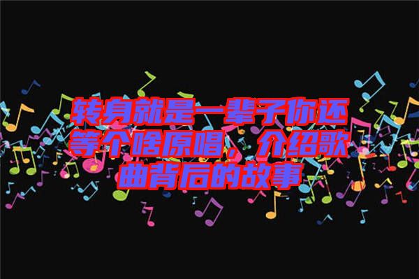 轉(zhuǎn)身就是一輩子你還等個啥原唱，介紹歌曲背后的故事