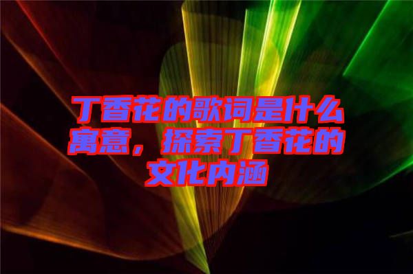 丁香花的歌詞是什么寓意，探索丁香花的文化內涵