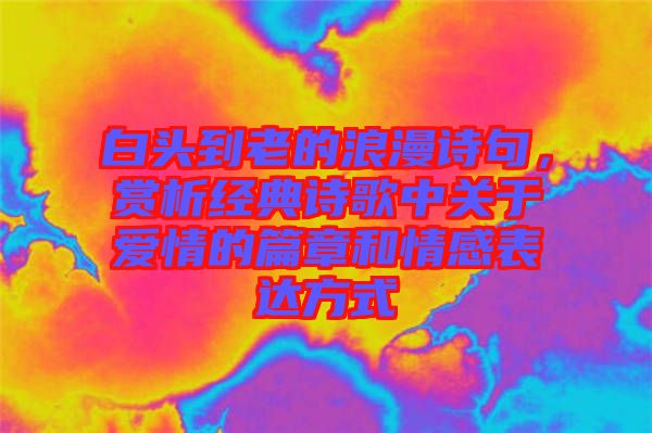 白頭到老的浪漫詩句，賞析經(jīng)典詩歌中關(guān)于愛情的篇章和情感表達(dá)方式