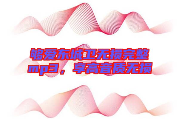 夠愛東城衛無損完整mp3，享高音質無損