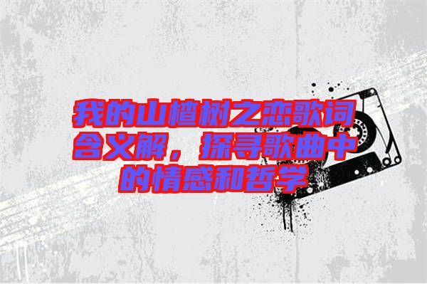 我的山楂樹(shù)之戀歌詞含義解，探尋歌曲中的情感和哲學(xué)