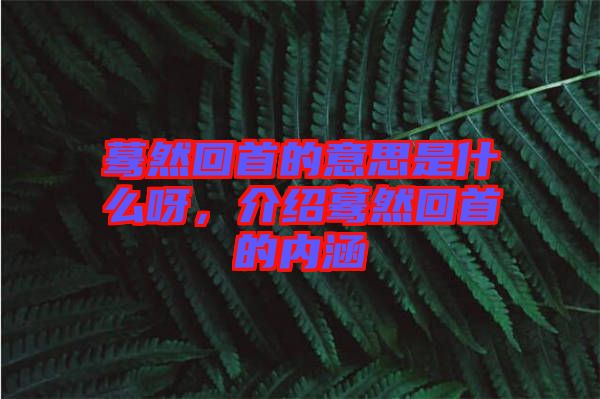 驀然回首的意思是什么呀，介紹驀然回首的內(nèi)涵