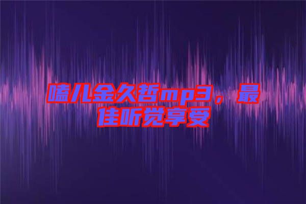 嗑兒金久哲mp3，最佳聽覺享受