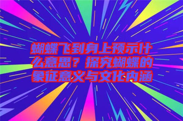 蝴蝶飛到身上預示什么意思？探究蝴蝶的象征意義與文化內涵