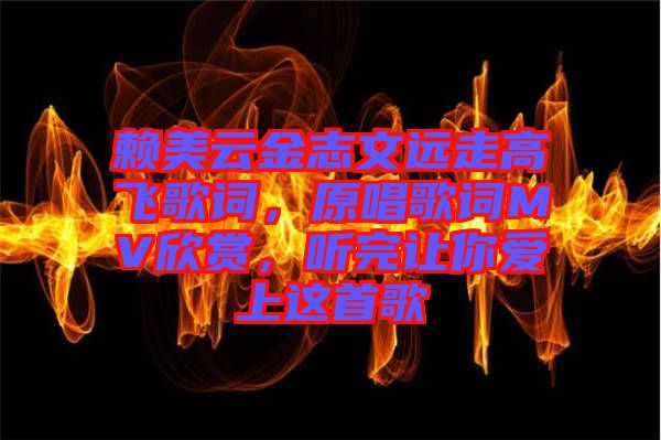 賴美云金志文遠走高飛歌詞，原唱歌詞MV欣賞，聽完讓你愛上這首歌