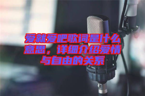 愛就愛吧歌詞是什么意思，詳細介紹愛情與自由的關系