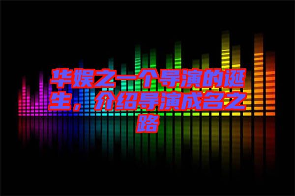 華娛之一個導演的誕生，介紹導演成名之路