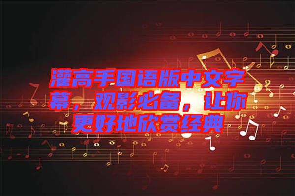 灌高手國語版中文字幕，觀影必備，讓你更好地欣賞經典