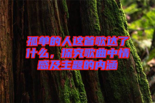 孤單的人這首歌達了什么，探究歌曲中情感及主題的內涵