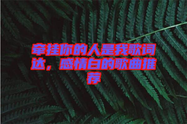 牽掛你的人是我歌詞達，感情白的歌曲推薦