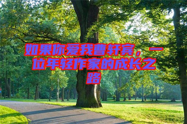 如果你愛我曹軒賓，一位年輕作家的成長之路