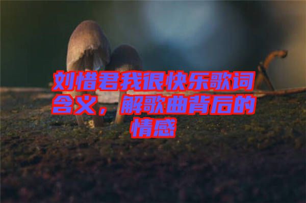 劉惜君我很快樂歌詞含義，解歌曲背后的情感