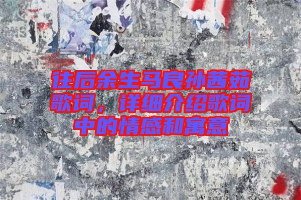 往后余生馬良孫茜茹歌詞，詳細介紹歌詞中的情感和寓意