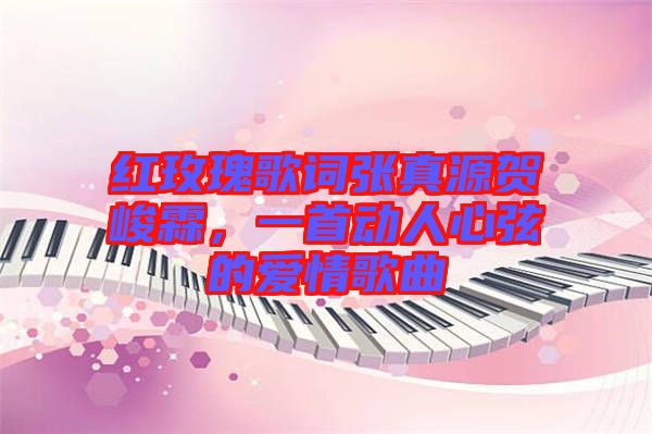 紅玫瑰歌詞張真源賀峻霖，一首動(dòng)人心弦的愛情歌曲